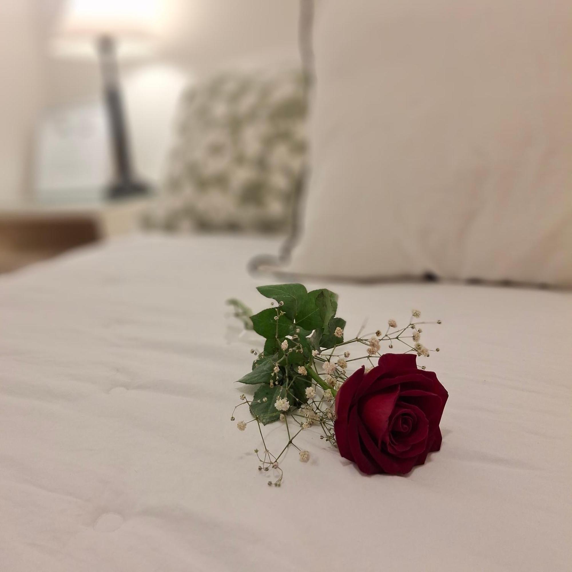 En El Corazon De Palermo -caba-buenos Aires Apartamento *